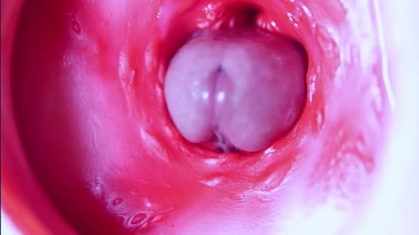 A big red cock inside a juicy hole can give sperm